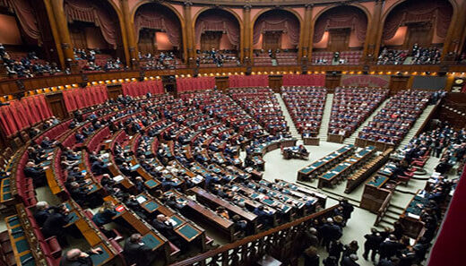 Public and Government